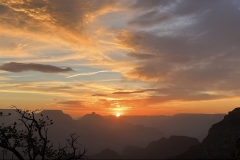 0C2A51FA-EF63-48EA-B98F-FF7025AF59F6