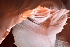 325D77DF-8294-426B-8798-5BF7E130D6C9-rotated